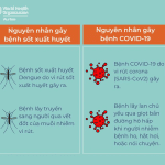 Cách phân biệt COVID-19, cúm và sốt xuất huyết