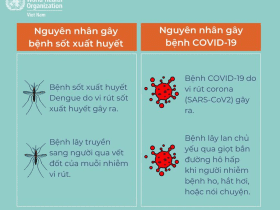Cách phân biệt COVID-19, cúm và sốt xuất huyết